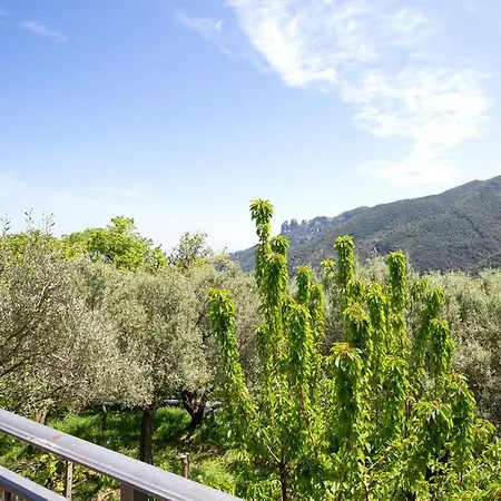 Magia Dell'aspromonte Frühstückspension Ciminà