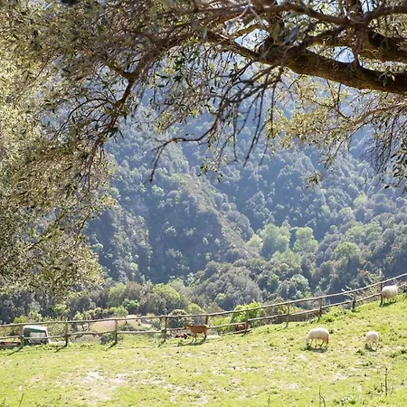 Magia Dell'aspromonte Bed and breakfast 3*