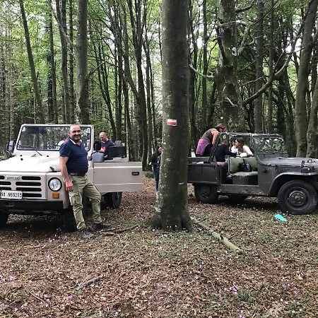 Magia Dell'aspromonte * Cimina