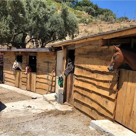 Bed and breakfast Magia Dell'aspromonte