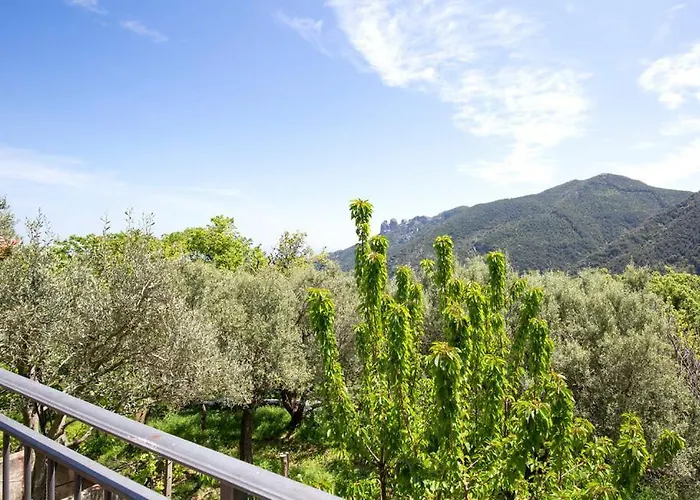 Magia Dell'aspromonte 住宿加早餐酒店 Ciminà