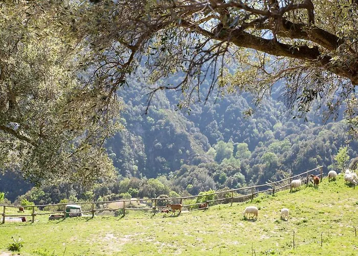 Magia Dell'aspromonte Frühstückspension 3*