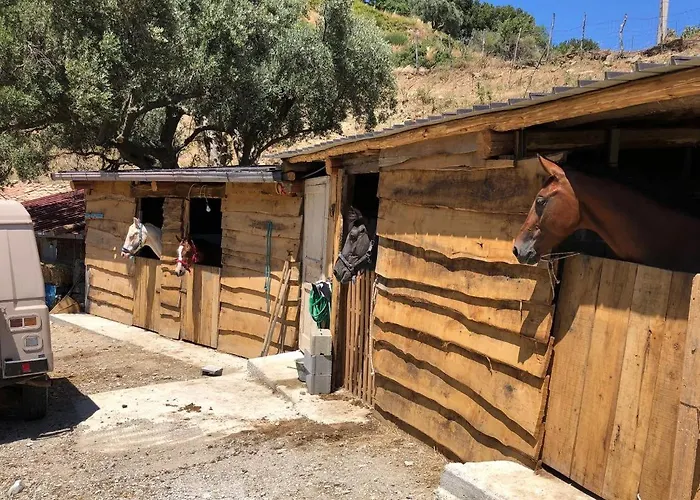 住宿加早餐酒店 Magia Dell'aspromonte